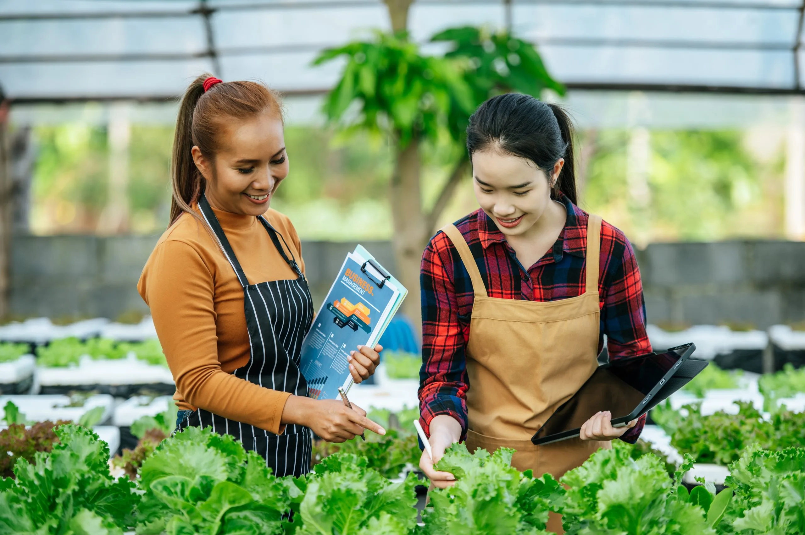 Organic Farming Pricing Feasibility Studies in Premium Segments Growing Above Conventional Agriculture organic-farming-pricing-feasibility-consulting-scaled