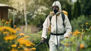 Philippines Insecticide Market Advances as Asia Pacific Insecticide Demand Reaches USD 6.62 Billion