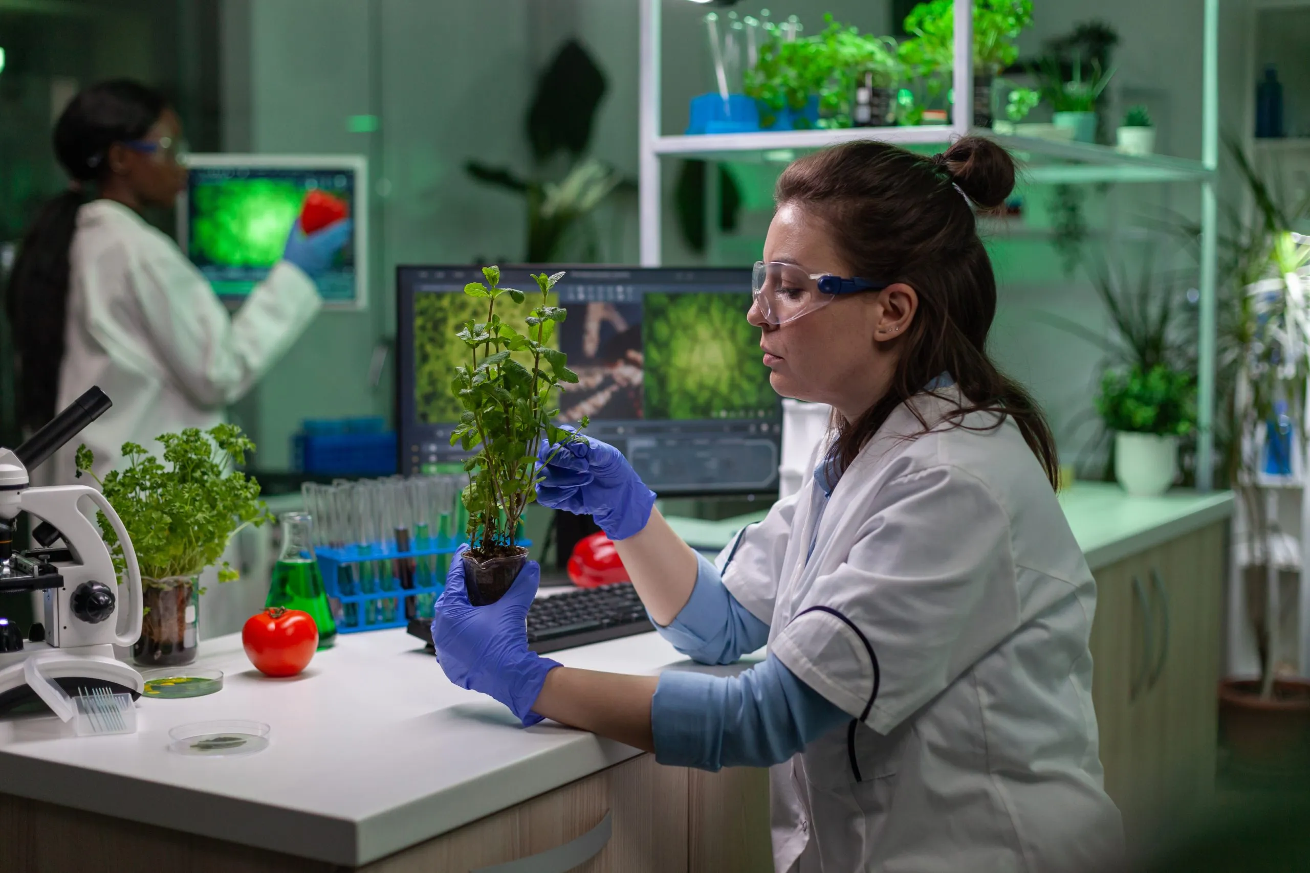 Pesticide Pricing Intelligence for Markets Focused on Yield Protection and Cost Efficiency pesticide-pricing-intelligence-research-scaled