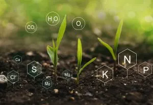 Comparing Plant Nutrient Prices Across Product Categories and Supplier Networks 