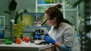 Singapore Microbial Food Culture Market Outlook to 2035