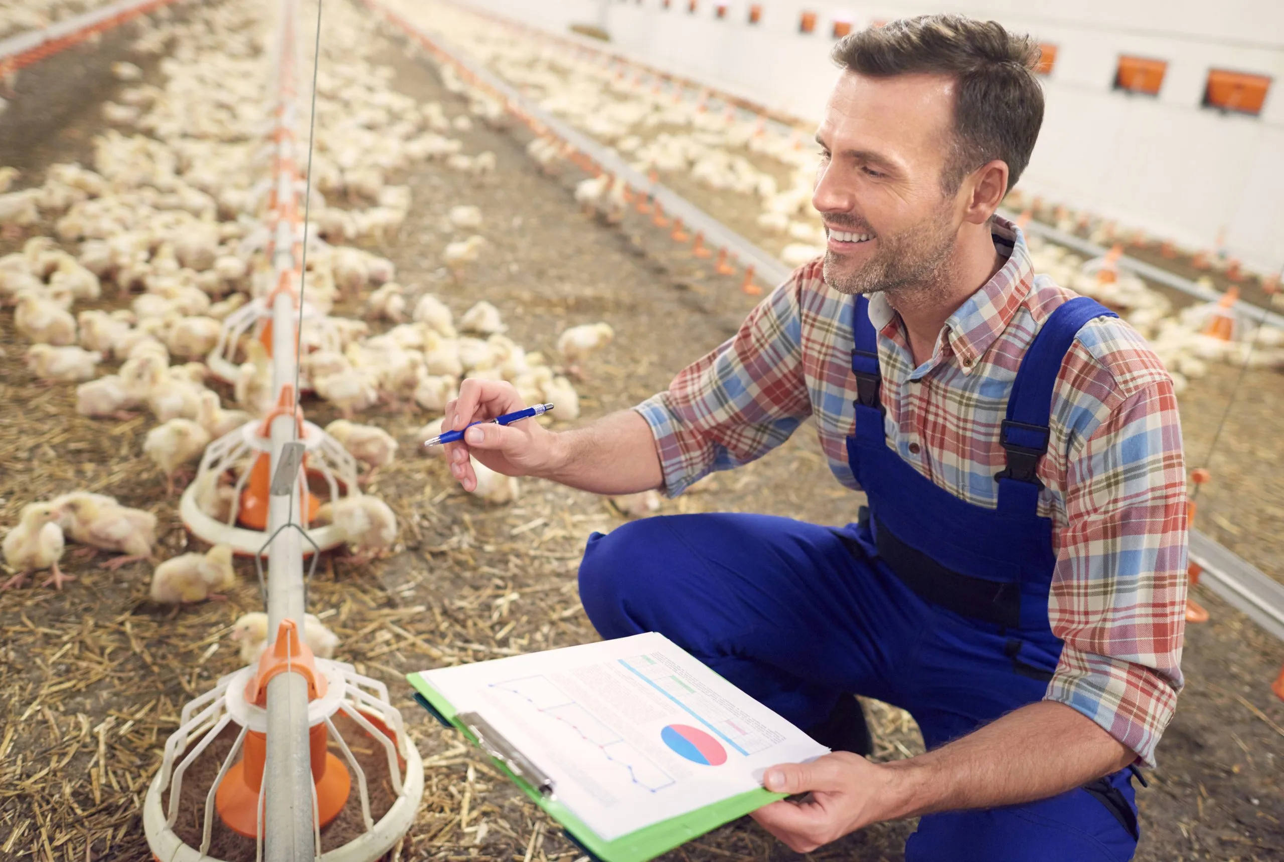 Poultry Pricing Optimization Strategies for High-Volume Protein Markets poultry-product-pricing-optimization-consulting-scaled