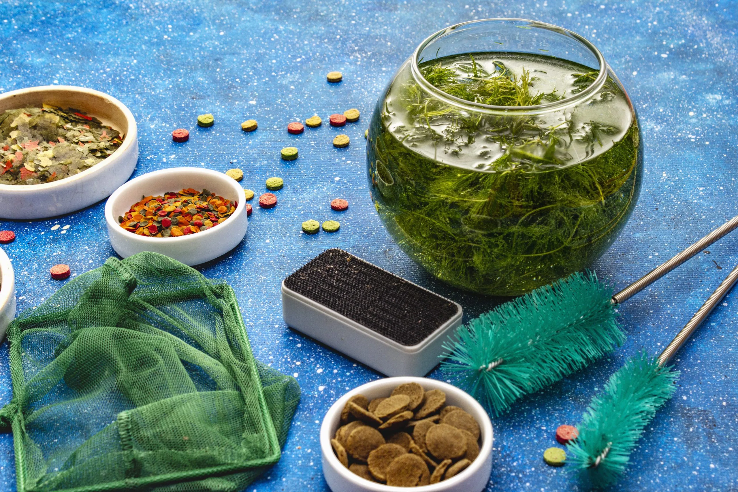 KSA Algae Omega 3 Ingredient Market Outlook to 2035 set-care-aquarium-fish-assorted-feed-green-seaweed-butterfly-net-scraper-brushes-navy-blue-sea-background-1-scaled