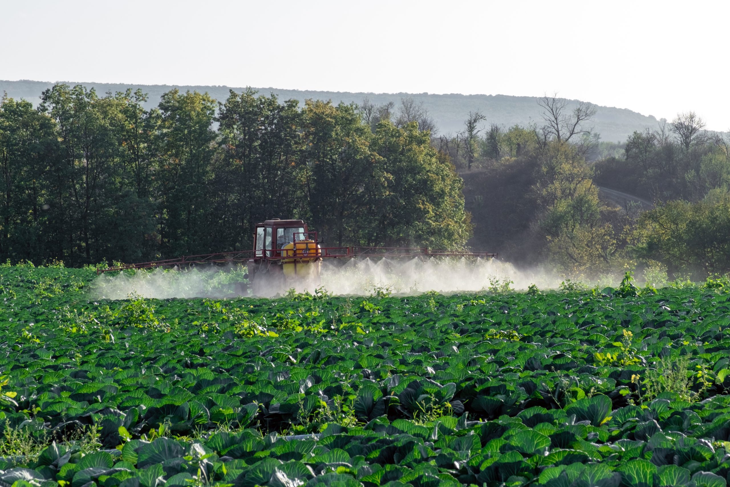 Singapore Controlled Release Fertilizer Market Gains Momentum as Asia-Pacific Demand Reaches USD 1.12 Billion tractor-sprays-chemistries-pesticides-farms-field-vegetables-scaled