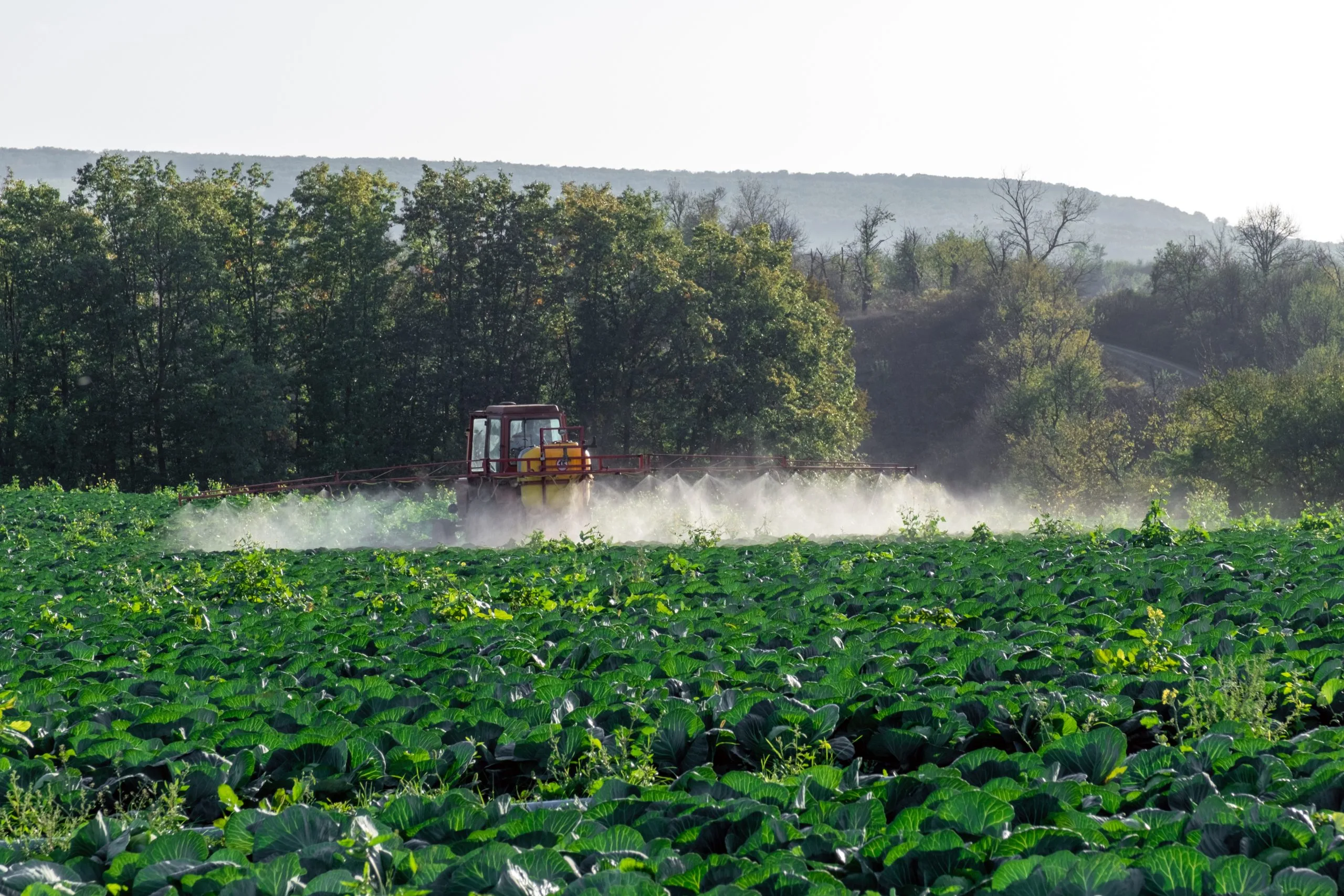 Singapore Controlled Release Fertilizer Market Gains Momentum as Asia-Pacific Demand Reaches USD 1.12 Billion tractor-sprays-chemistries-pesticides-farms-field-vegetables-scaled