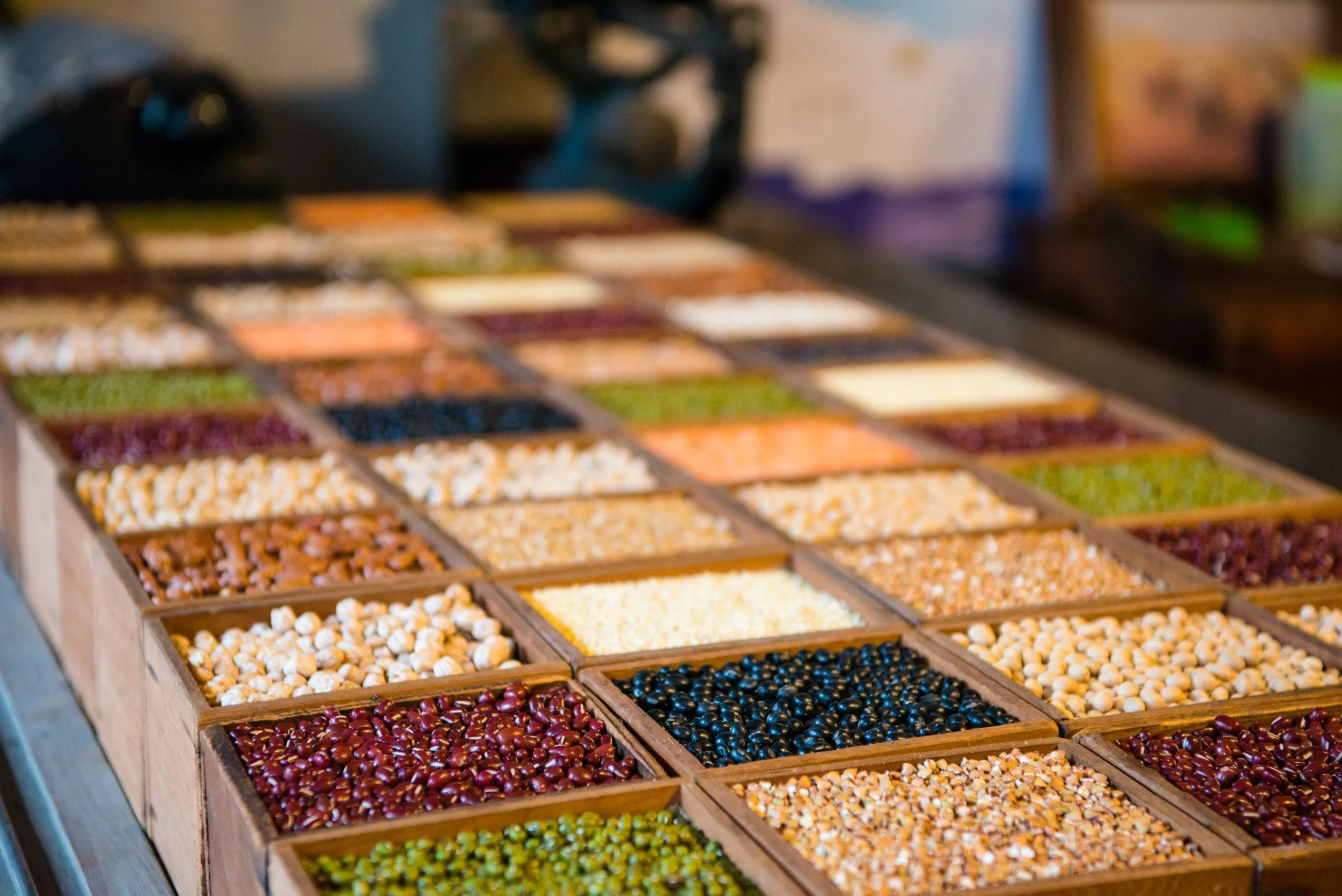 UAE Vegetable Seed Market Gains Momentum as Over 80% of Seeds Are Imported variety-food-beans-wooden-box-provide-customers-choose-appreciate-beans-processing-shop-display-visiting-people-looking-scaled