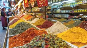 South Africa Food Flavor and Enhancer Market Outlook to 2035