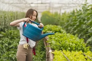 Water-Efficient Agriculture Technologies Gain Relevance Across Drought-Prone Farming Regions 
