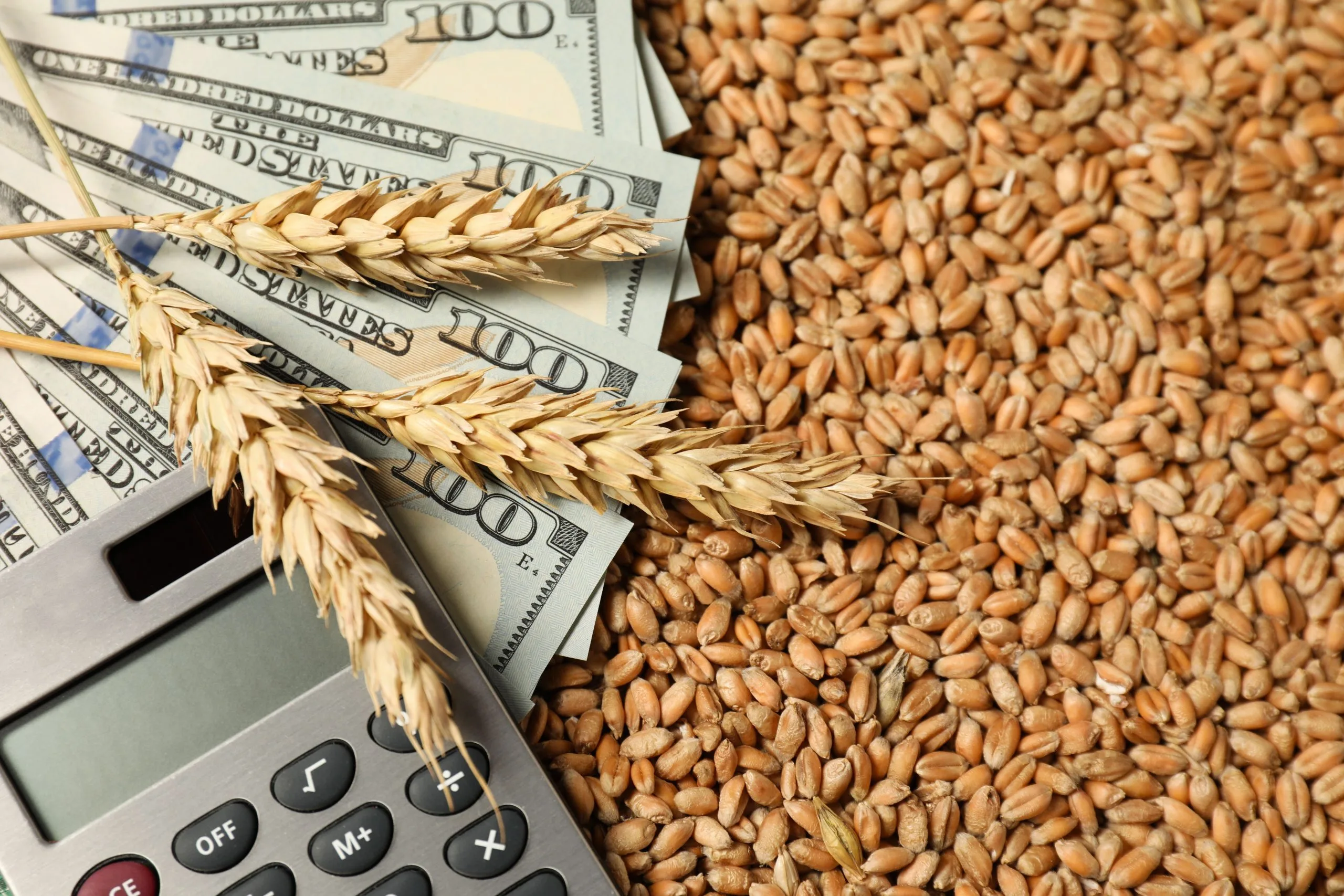 How Wheat Pricing Strategies Respond to Global Supply and Demand Fluctuations wheat-pricing-strategy-benchmarking-scaled