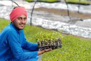 India Micronutrient Fertilizer Market Set to Reach USD 480 Million with 9.14% CAGR Growth