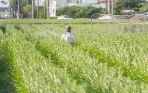 India Herbicide Market Expands at 8.64 Percent CAGR Driven by Rice, Wheat, Cotton, Pulses, and Oilseed Cultivation
