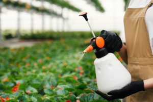 Vietnam Insecticide Market Gains Momentum as Crop Protection Chemicals Reach USD 580.42 Million