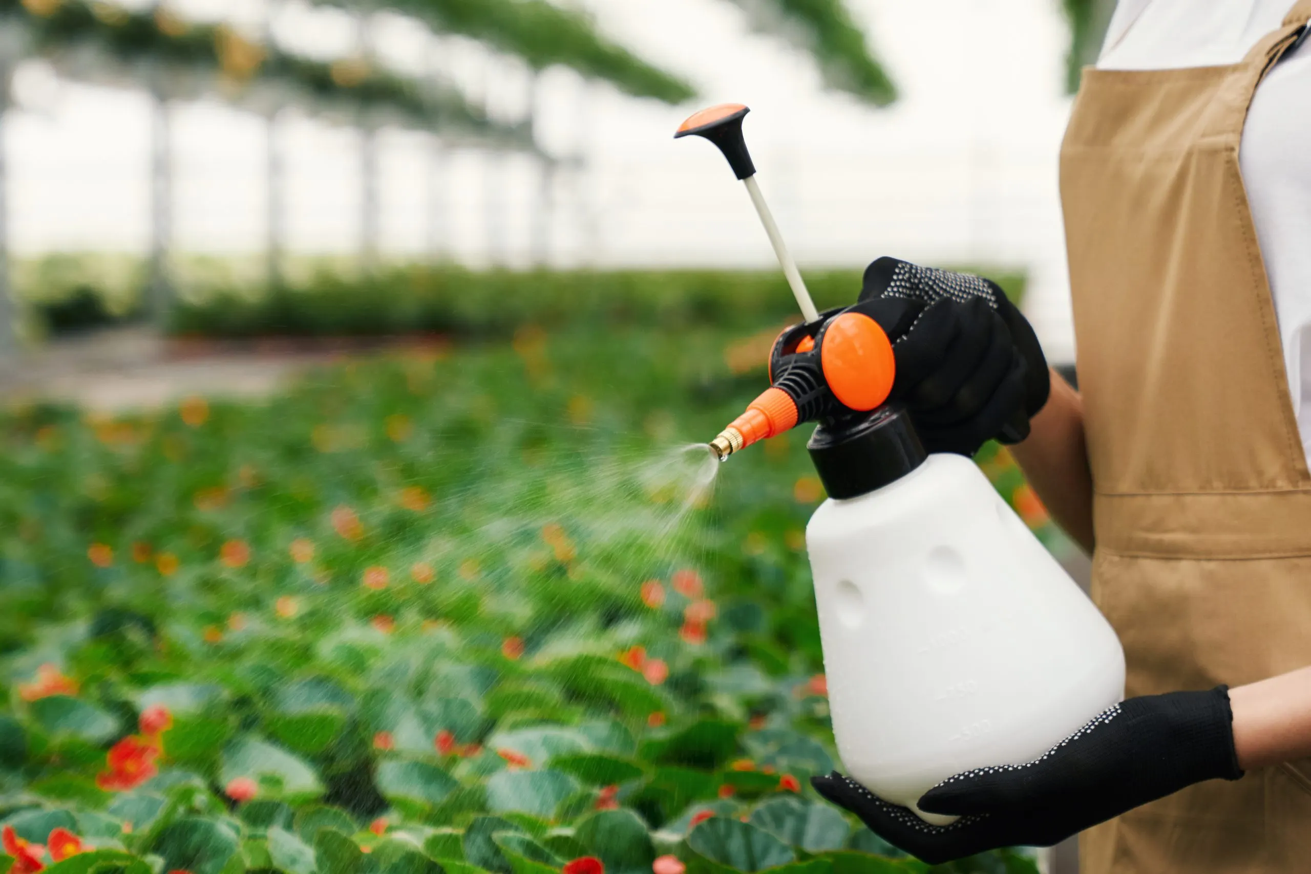 Vietnam Insecticide Market Gains Momentum as Crop Protection Chemicals Reach USD 580.42 Million young-woman-watering-plants-with-red-flowers-scaled