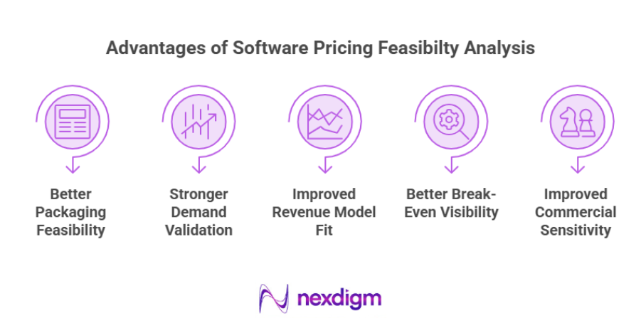 Advantages of Software Pricing Feasibility Analysis