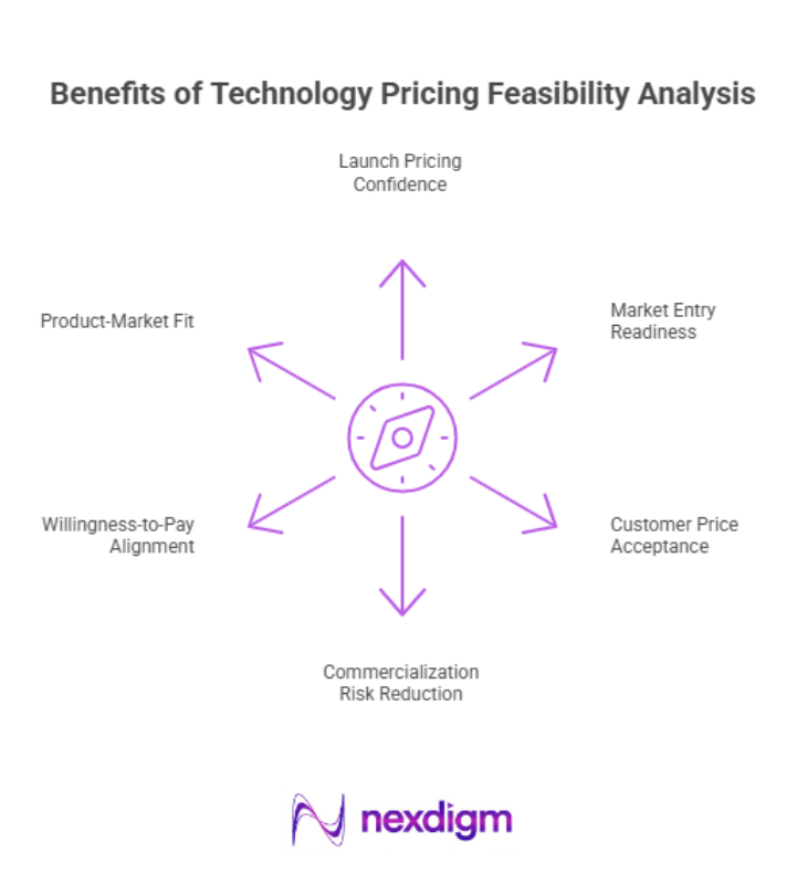 Benefits of Technology Pricing Feasibility Analysis