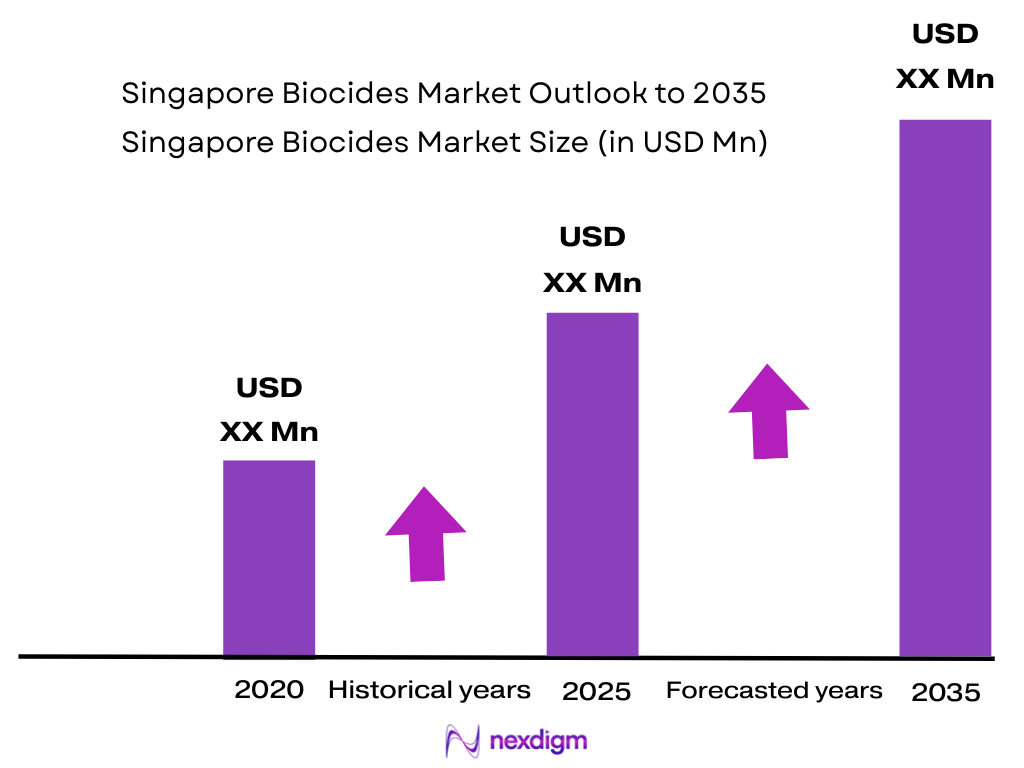 Singapore Biocides Market