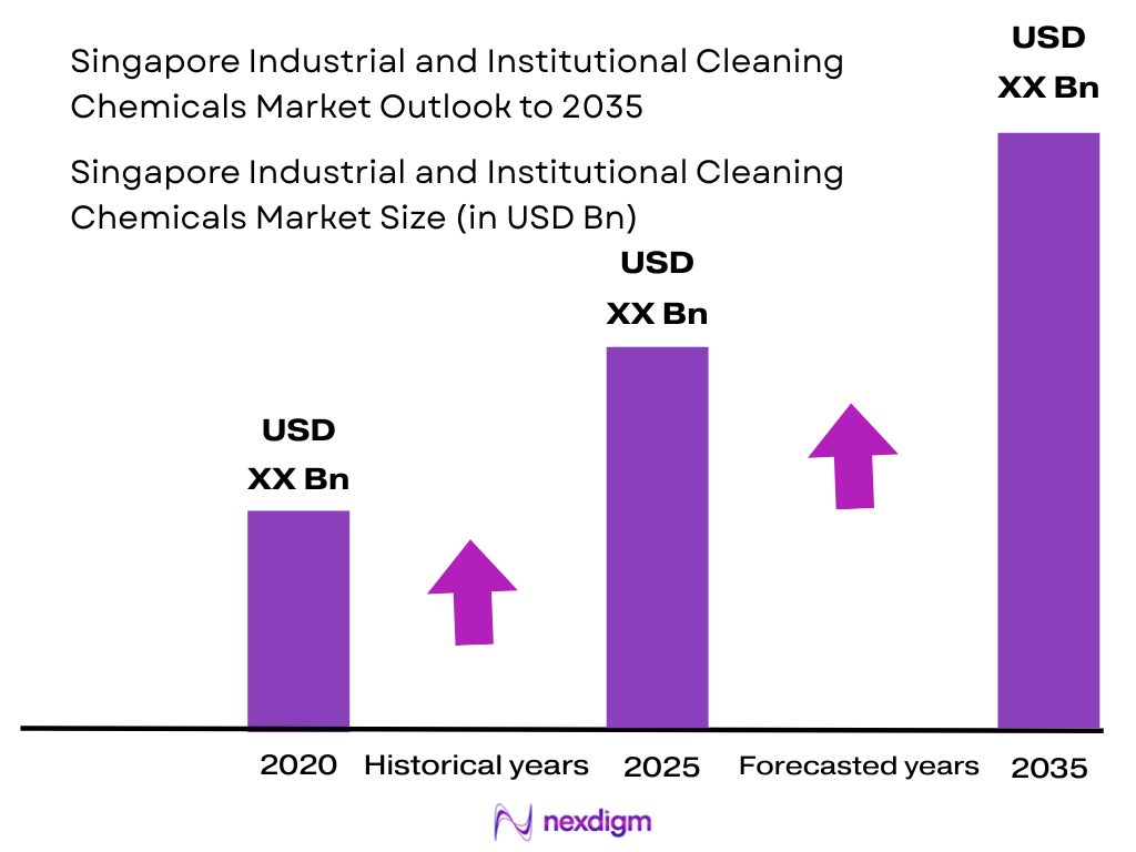 Singapore Industrial and Institutional Cleaning Chemicals Market