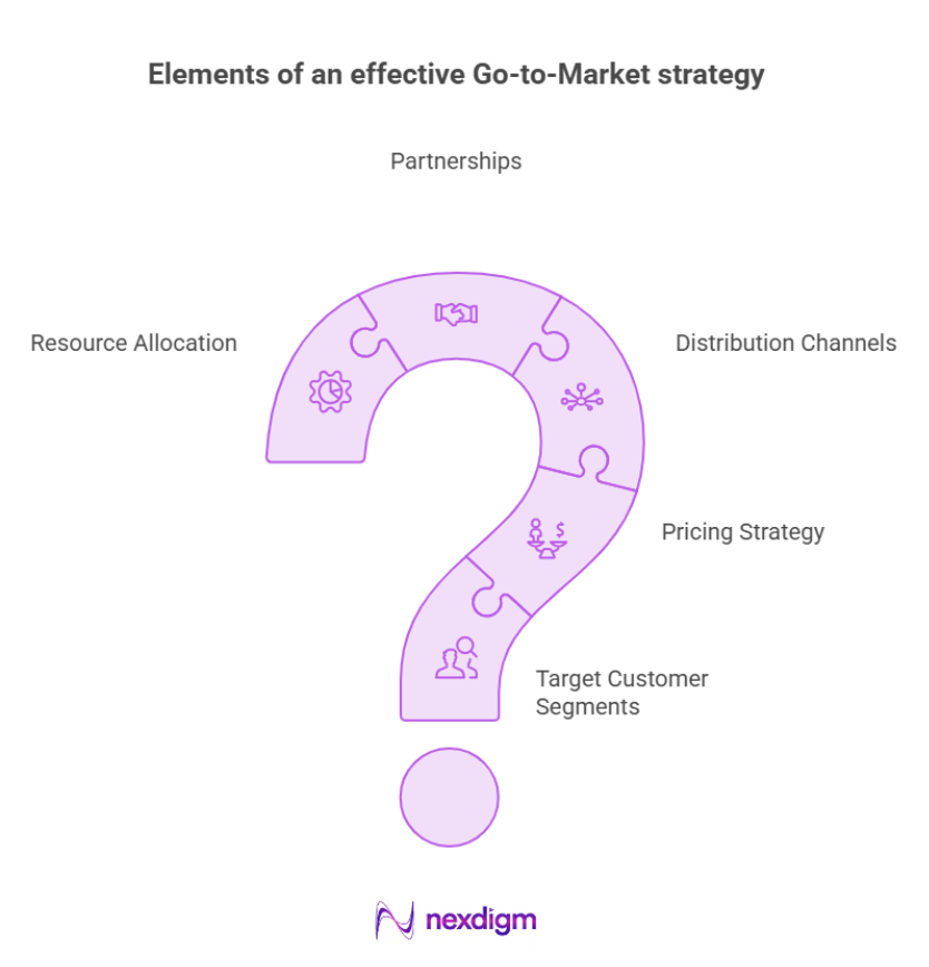 Elements of Effective Go-to-Market Strategy