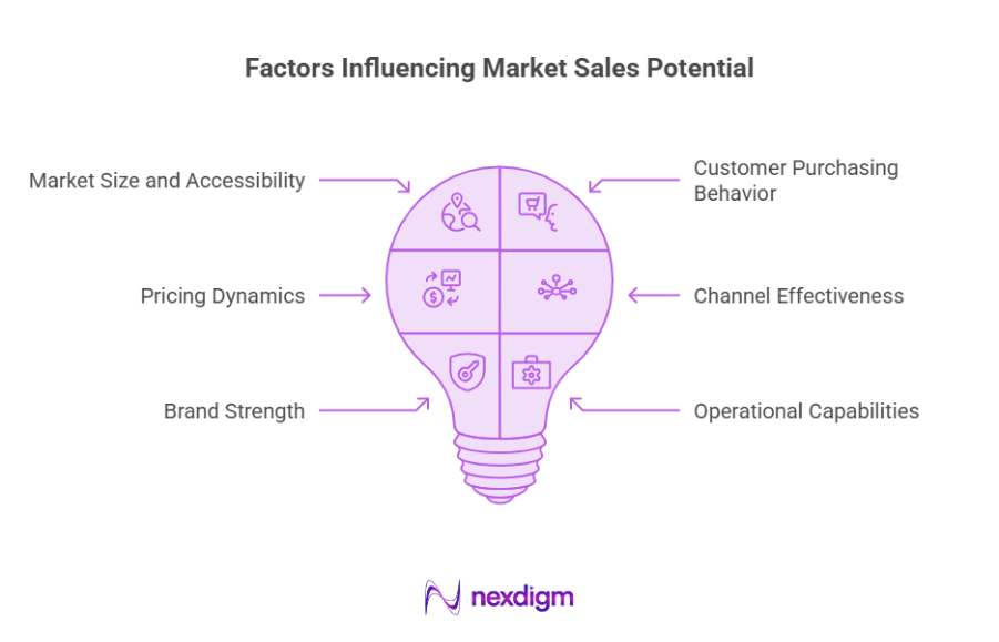 Factors Influencing Market Sales Potential