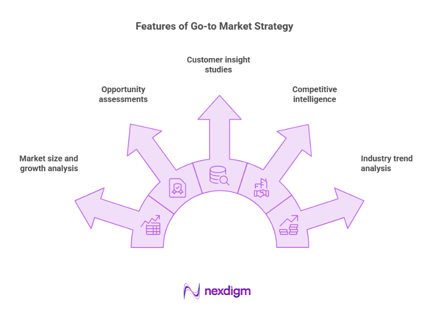Features of Go-to-Market Strategy