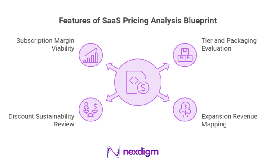 Features of SaaS Pricing Analysis Blueprint
