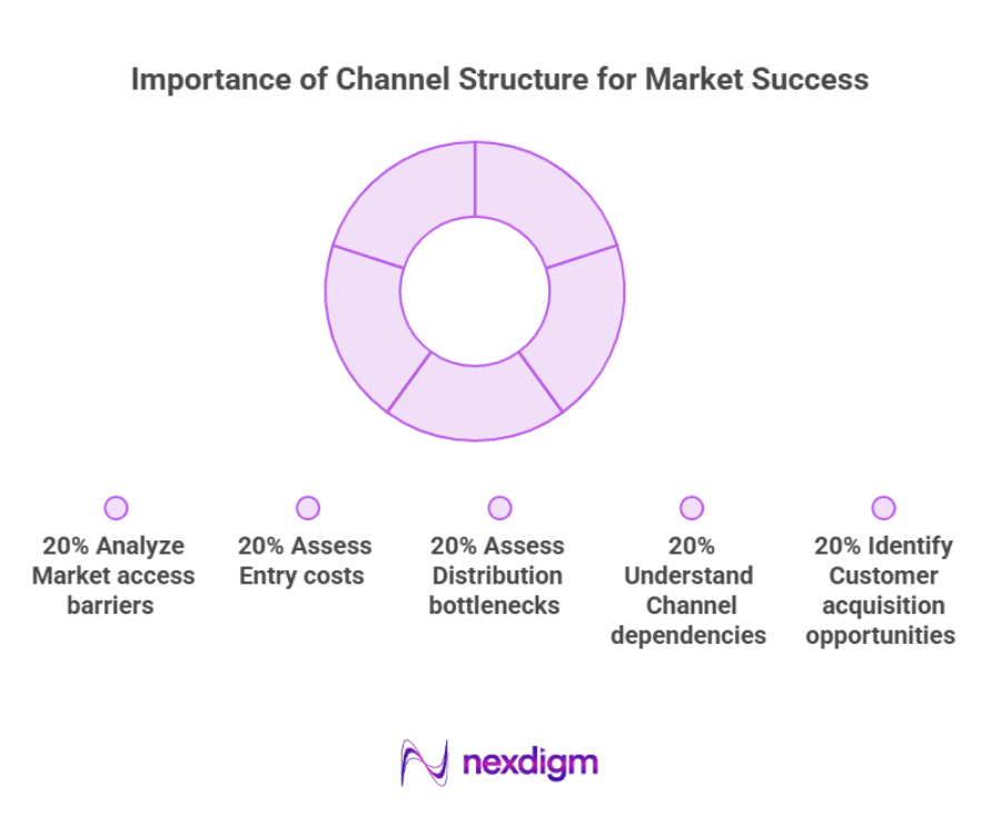 Importance of Channel Structure for Market Success