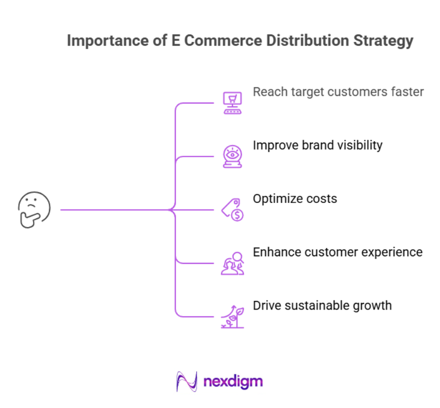 Importance of E-commerce Distribution Strategy