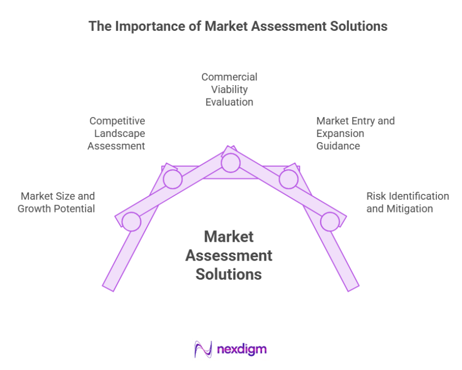 Importance of Market Assessment Solutions