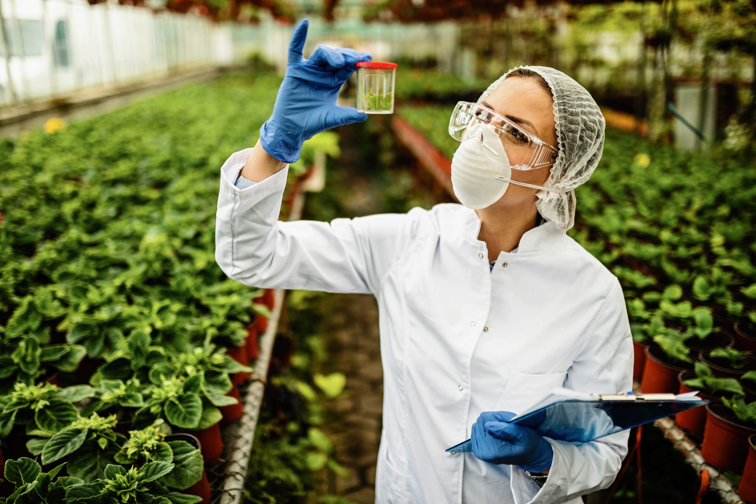 KSA Biocides Market Outlook to 2035 KSA-Biocides-Market-scaled