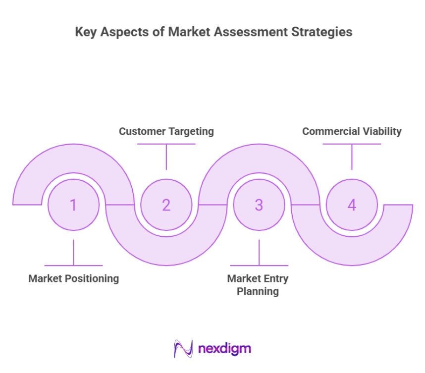 Key Aspects of Market Assessment Strategies