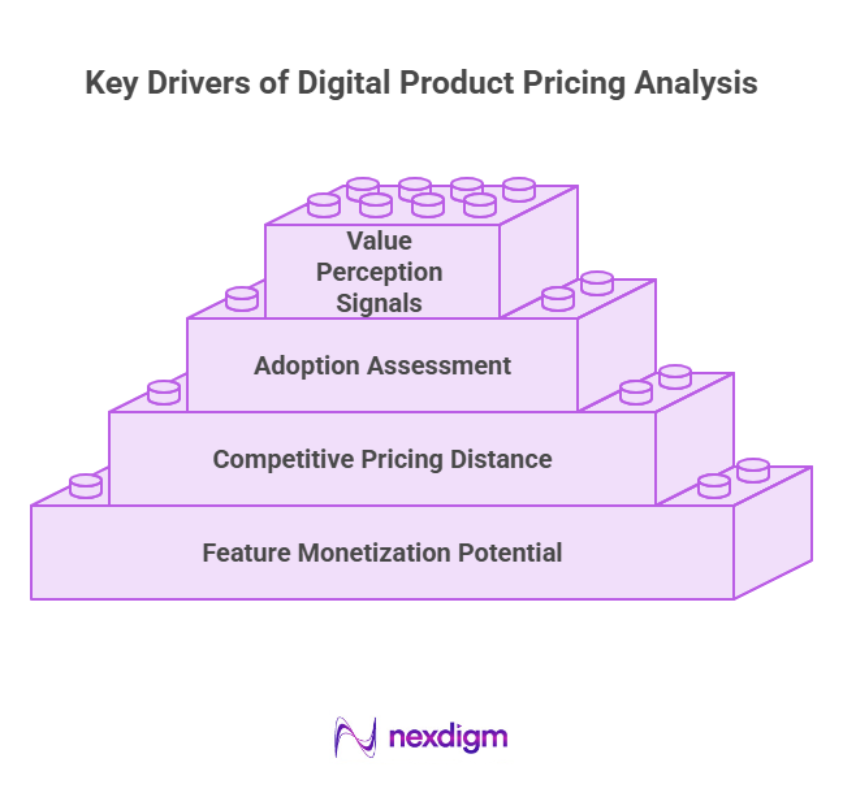 Key Drivers of Digital Product Pricing Analysis
