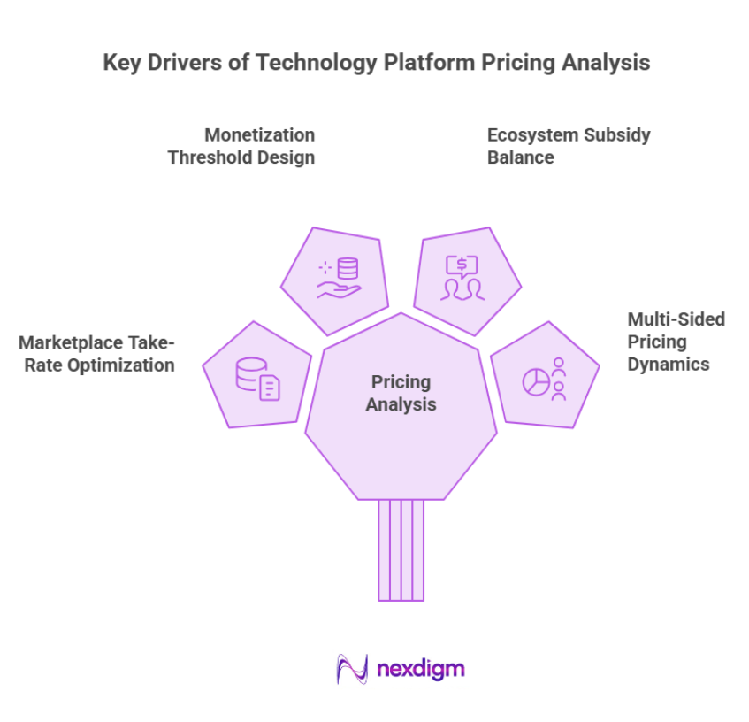 Key Drivers of Technology Platform Pricing Analysis