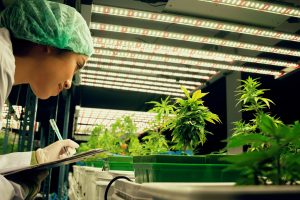 Philippines Biocides Market Outlook to 2035