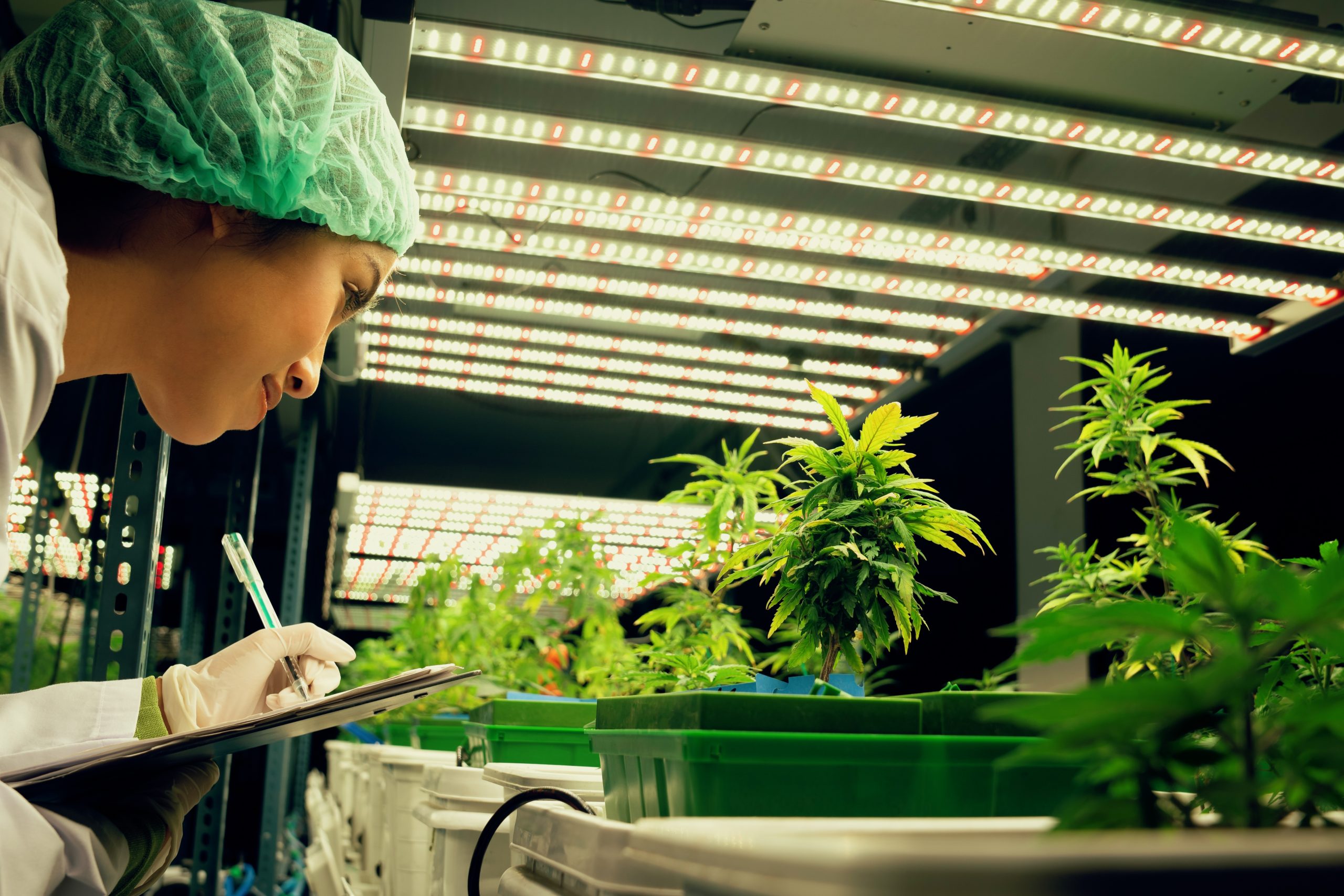 Philippines Biocides Market Outlook to 2035 Philippines-Biocides-Market-scaled