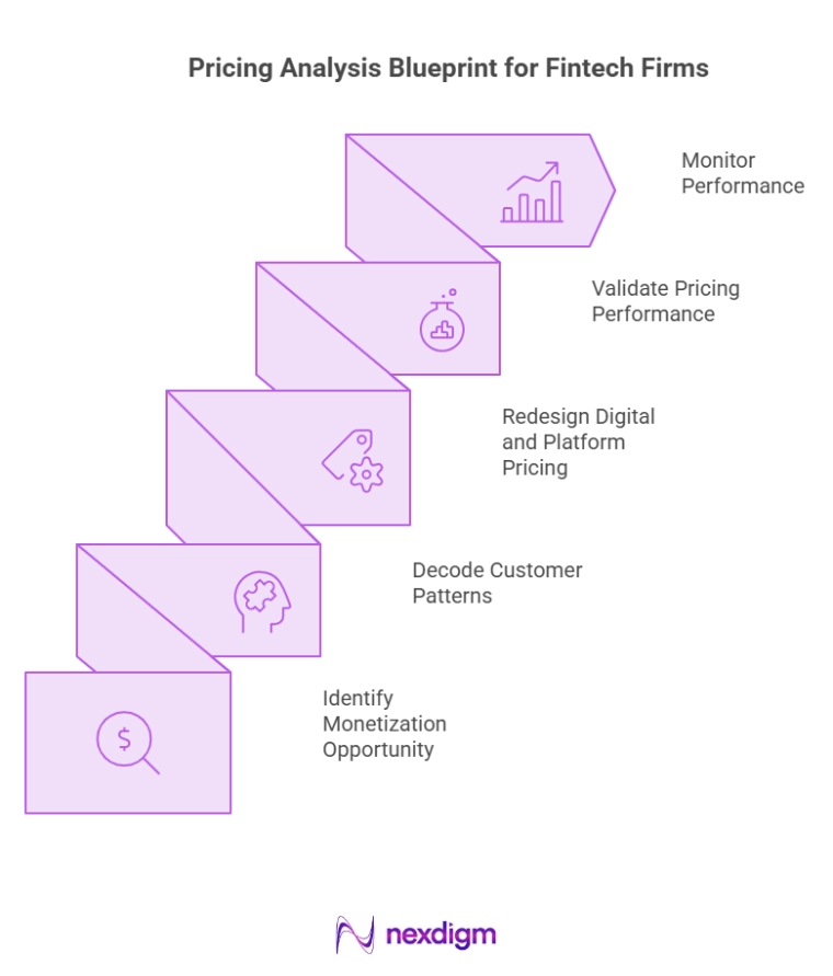 Pricing Analysis Blueprint for Fintech Firms