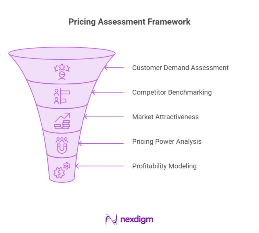 Pricing Assessment Framework