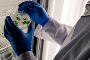 Singapore Biocides Market Outlook to 2035