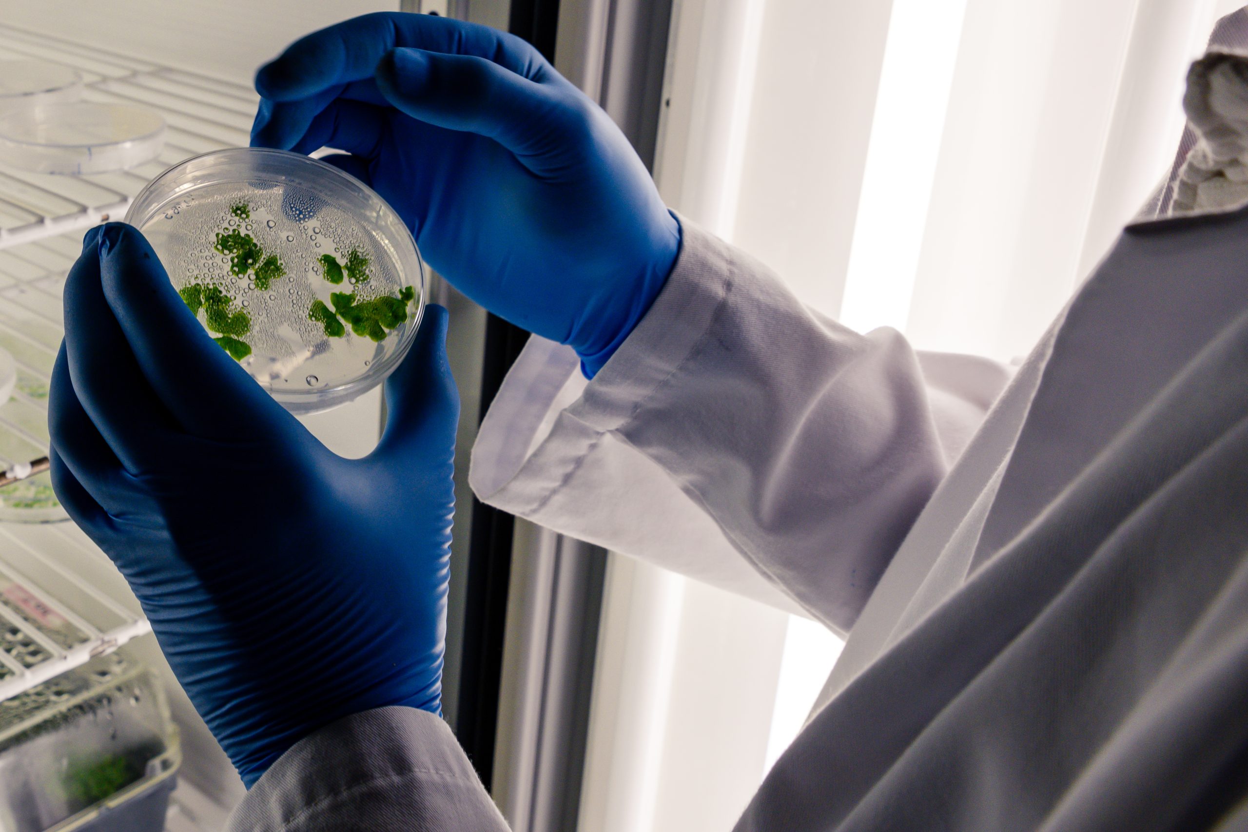 Singapore Biocides Market Outlook to 2035 Singapore-Biocides-Market-scaled
