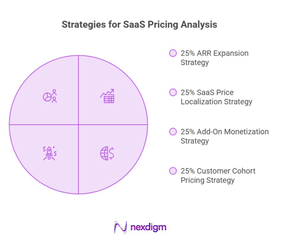 Strategies of SaaS Pricing Analysis