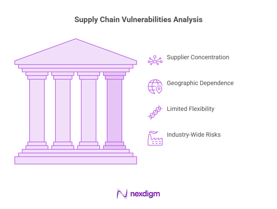 Supply Chain Vulnerability Analysis