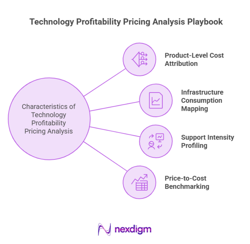 Technology Profitability Pricing Analysis Playbook