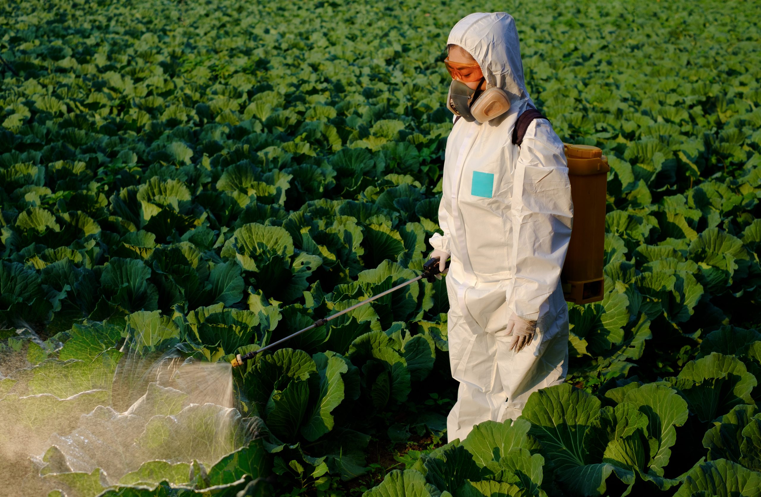 Vietnam Biocides Market Outlook to 2035 Vietnam-Biocides-Market-scaled