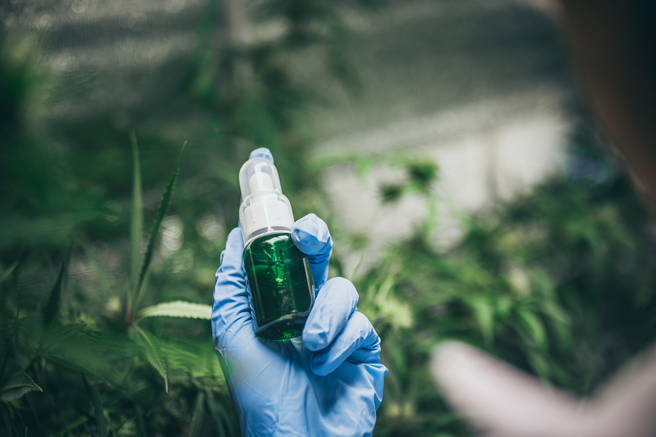Brazil Biocides Market Outlook to 2035 cbd-hemp-oil-hand-holding-bottle-cannabis-oil-against-marijuana-plant-herbal-treatment-alternative-medicine-scaled