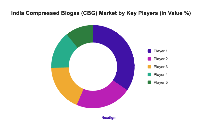 India Compressed Biogas (CBG) Market by Key Players (in Value %)