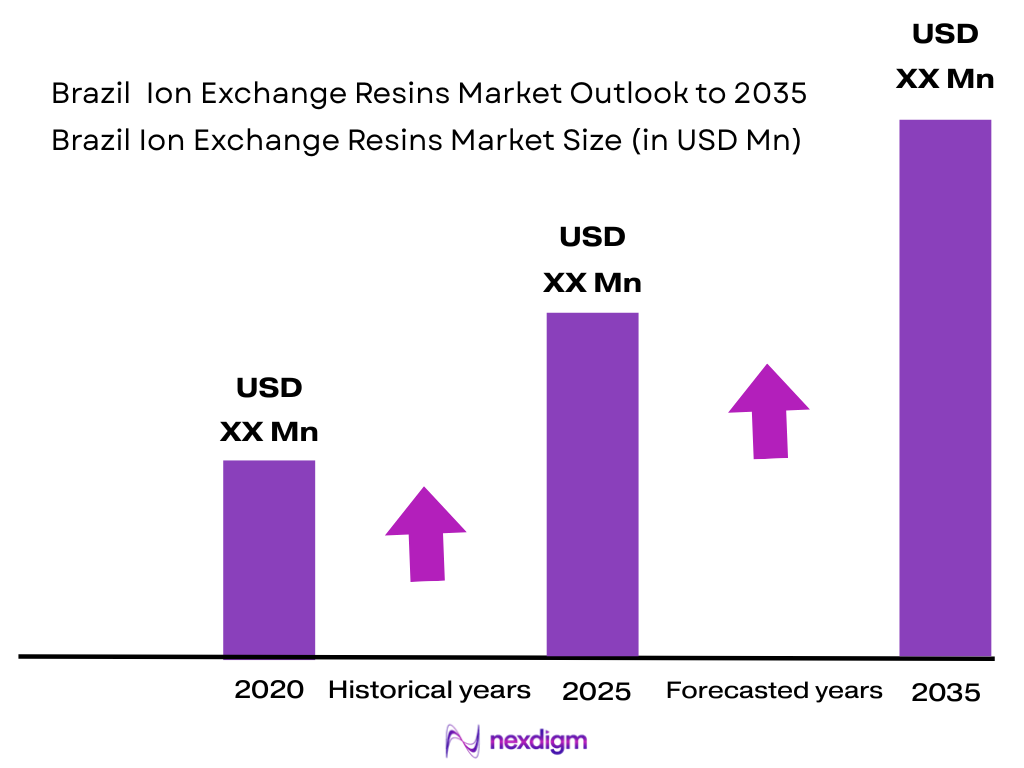 Brazil Ion Exchange Resins Market size