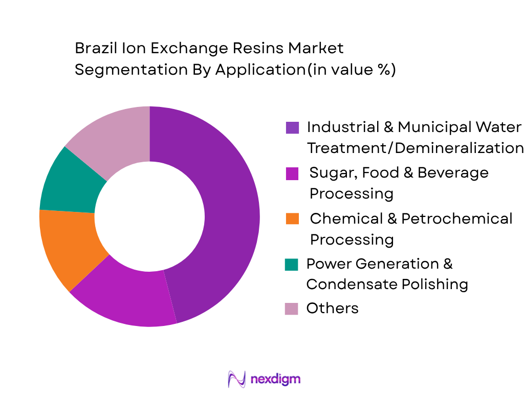 Brazil Ion Exchange Resins Market by application