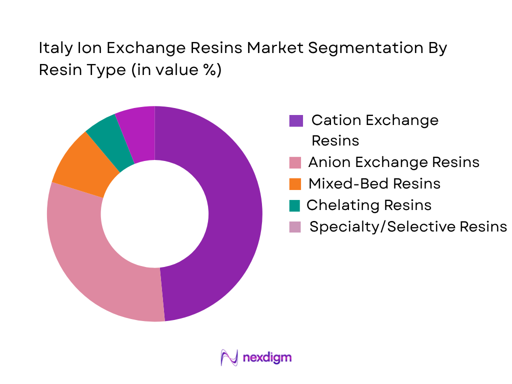Italy Ion Exchange Resins Market by rasin type