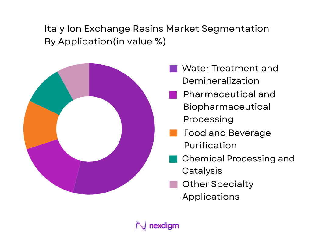 Italy Ion Exchange Resins Market by application