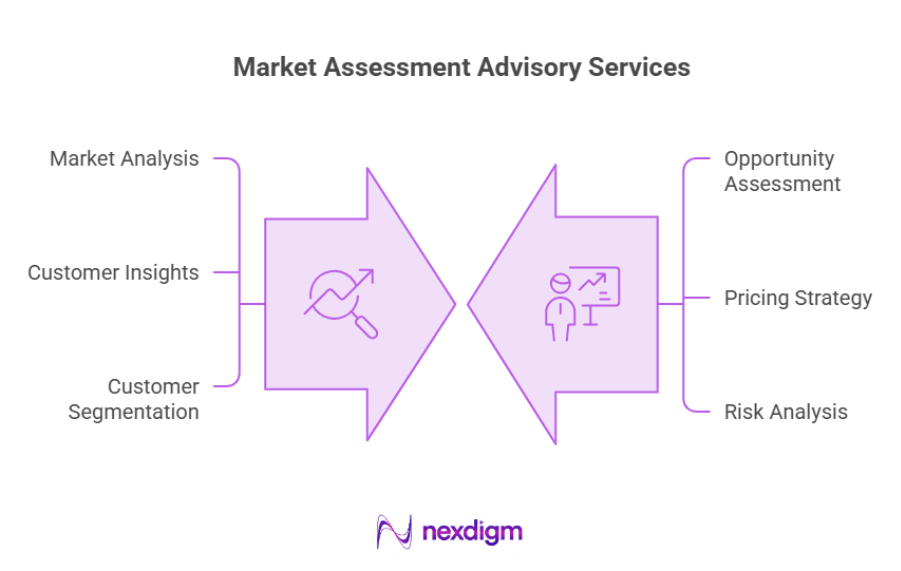 market assessment advisory services