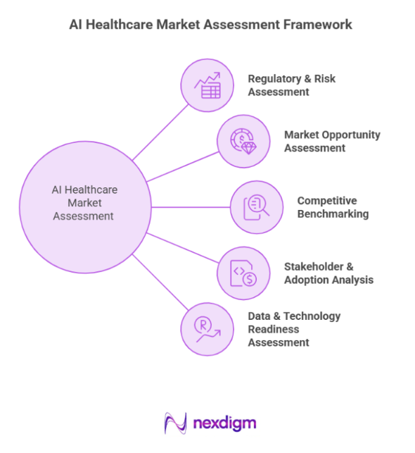AI Healthcare Market Assessment Framework